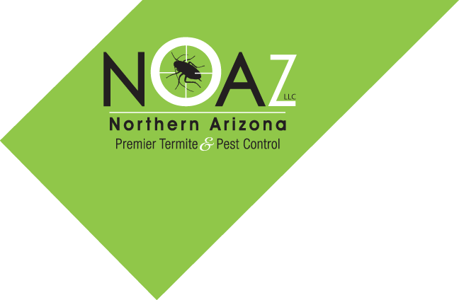 NOAZ Pest